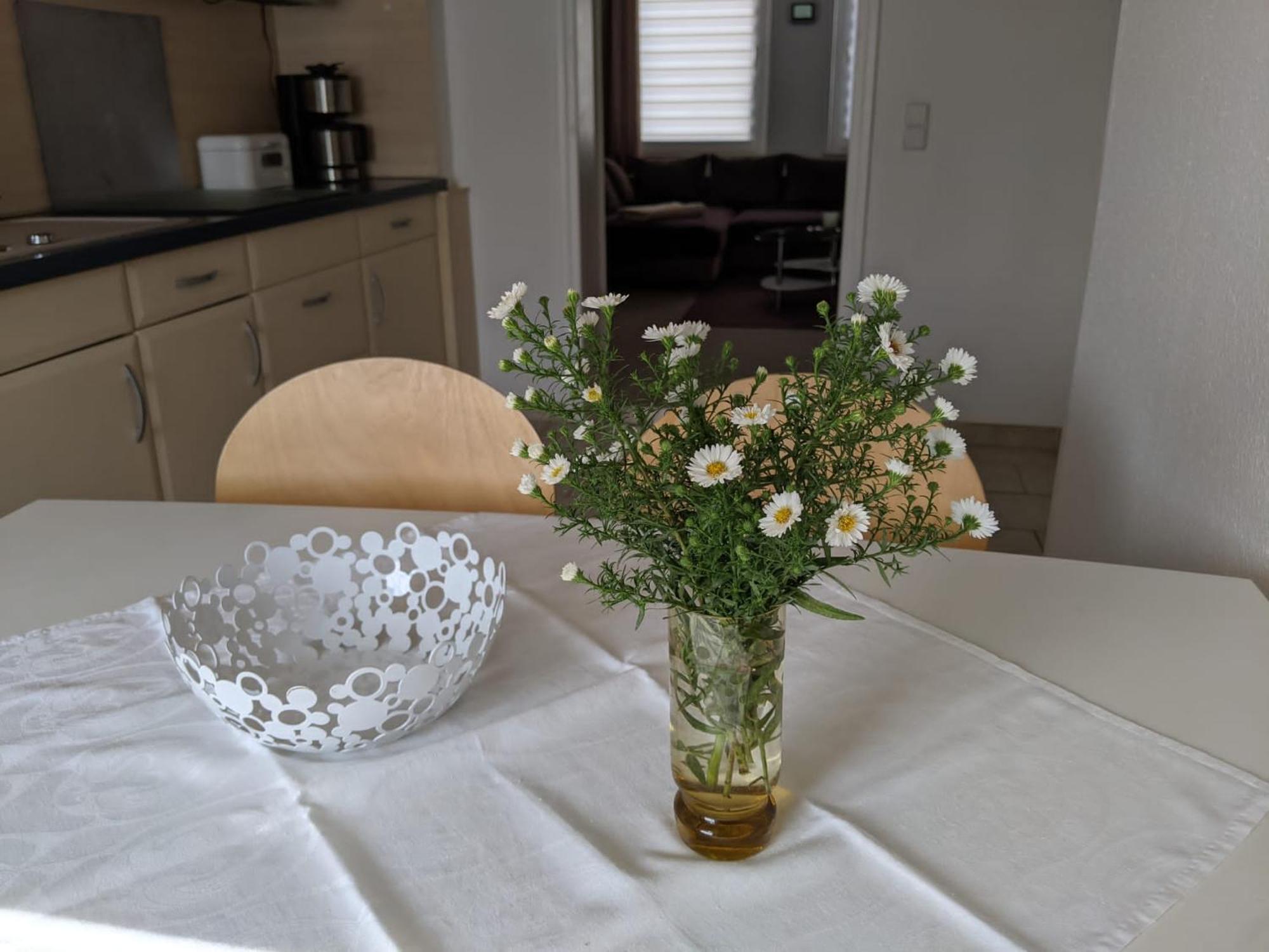 Ferienwohnung Am Ueckerpark Ueckermunde Luaran gambar